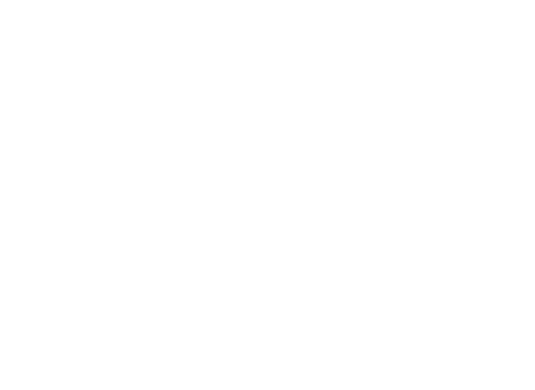 nesetcite.com